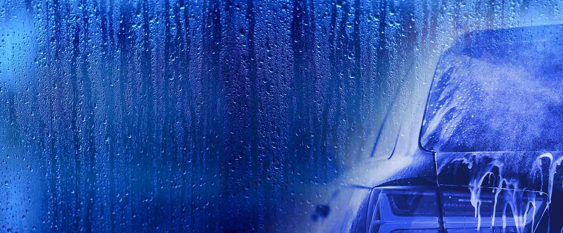 shutterstock_1095182876