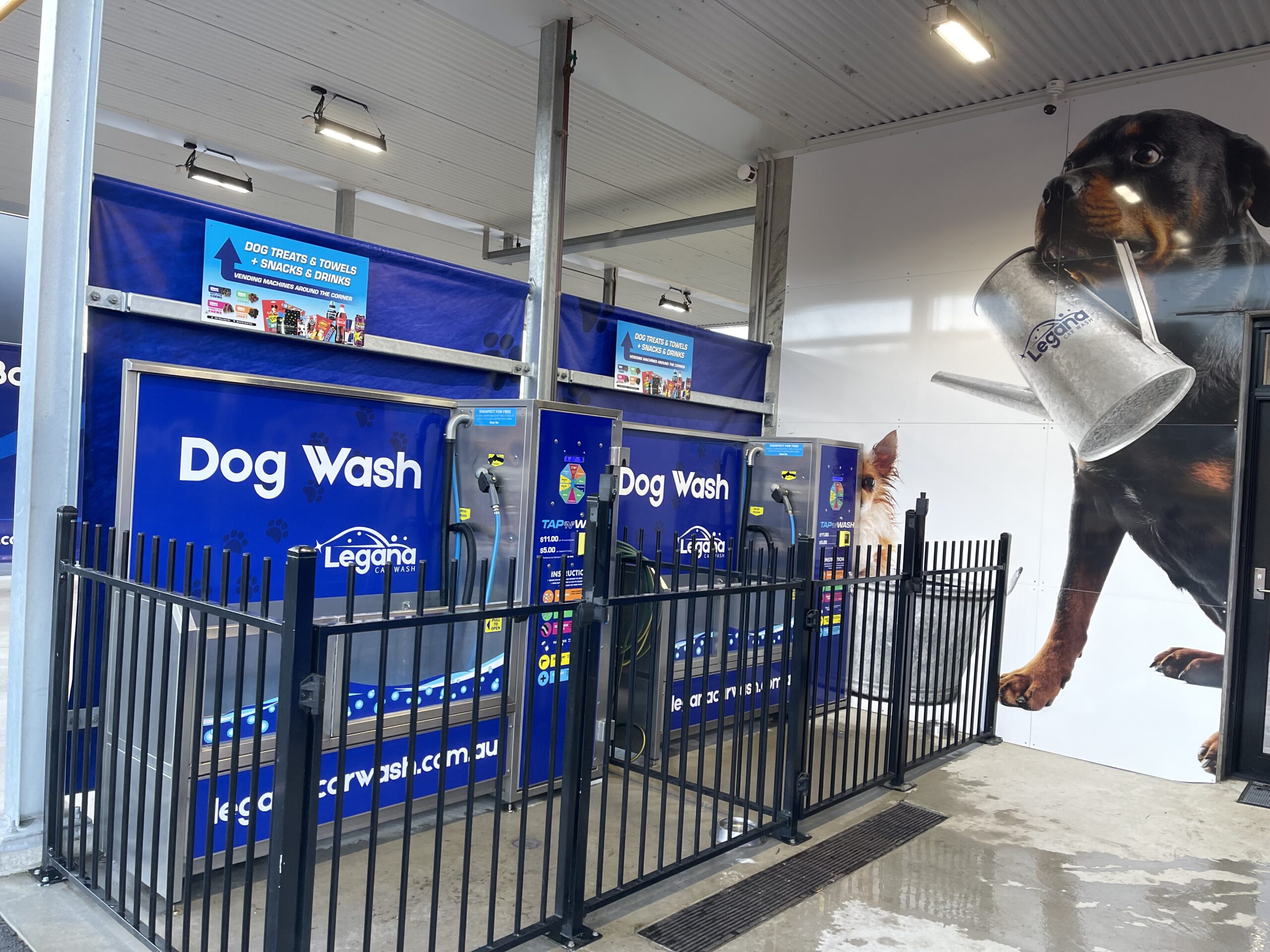 LCW Dog Wash